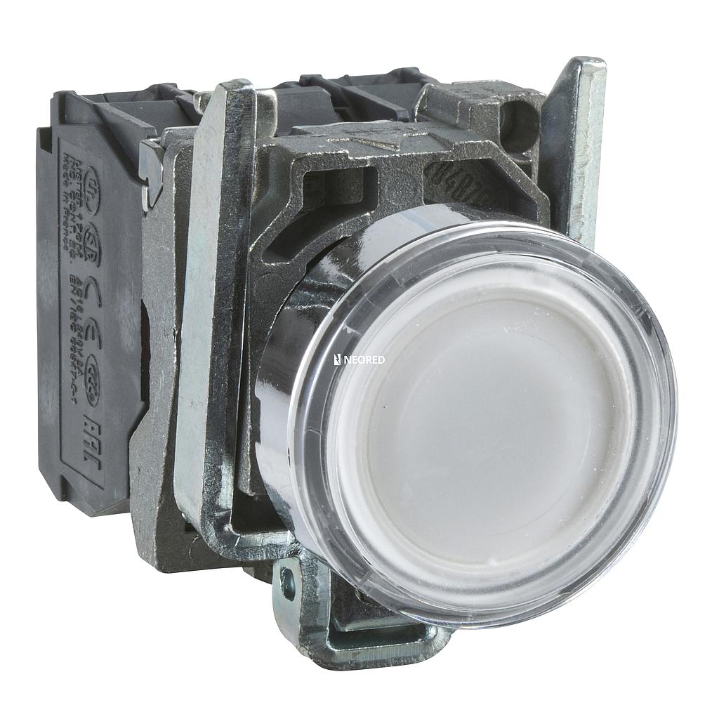 Pulsador luminoso, metálico, Blanco, 1NA+1NC, led 24VAC/DC