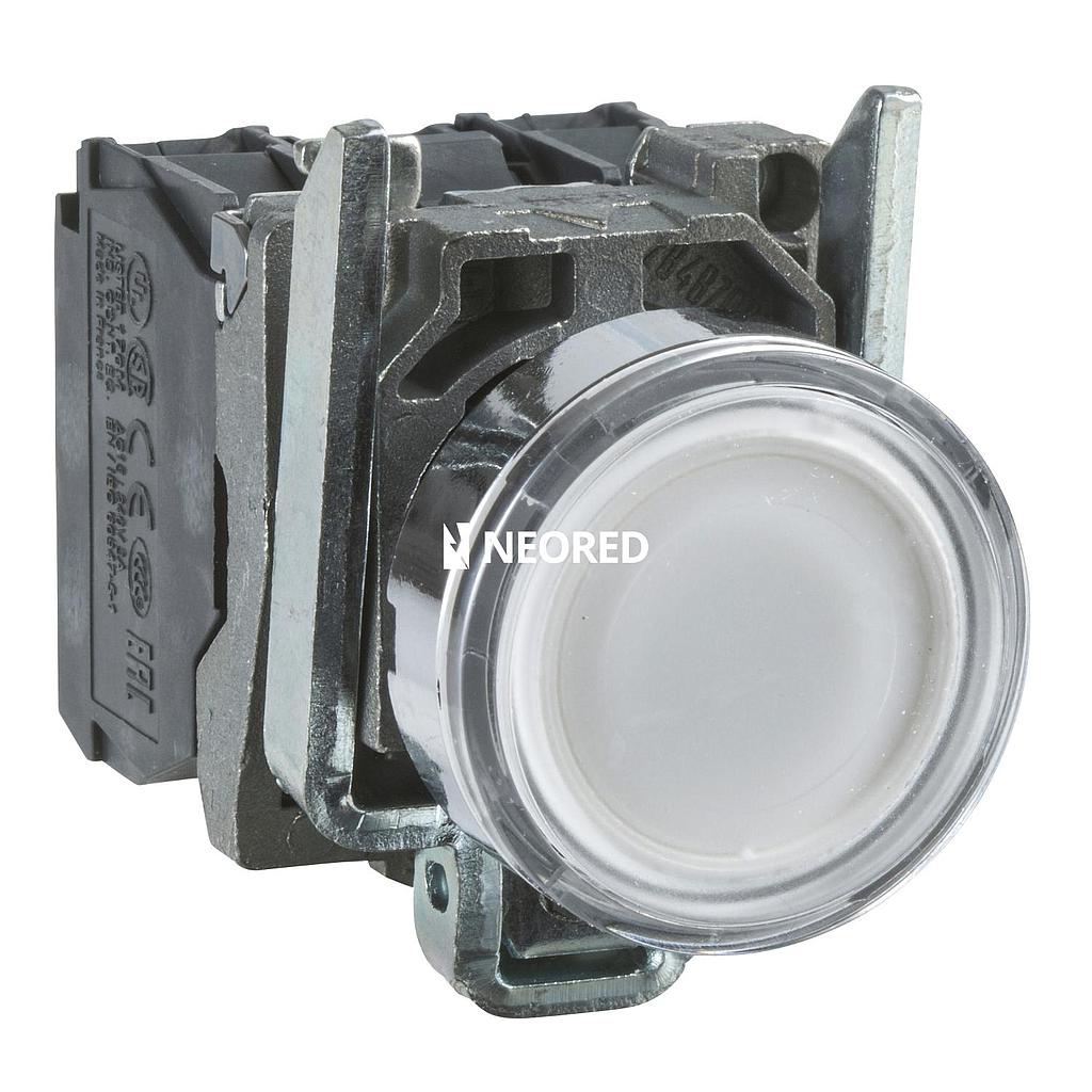 Pulsador luminoso, metálico, Blanco, 1NA+1NC, led 230VAC