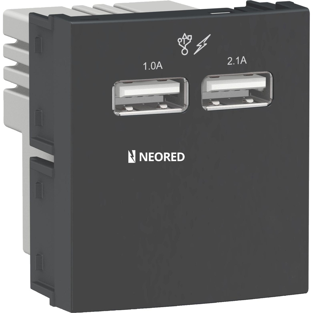 Tomacorriente para carga USB2.0- 2,1A 220V- 2 módulos - Gris-  Línea Roda