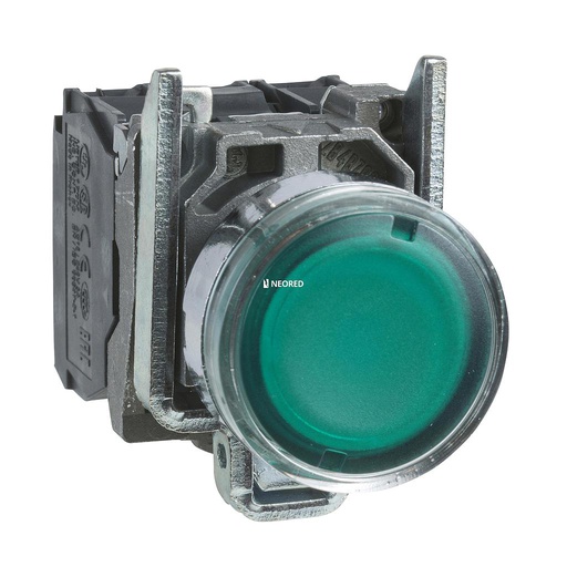 [SCHXB4BW33B5] Pulsador luminoso, metálico, Verde, 1NA+1NC, led 24VAC/DC