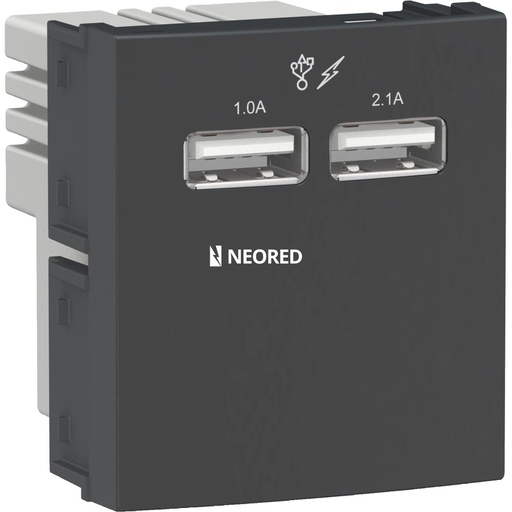 [SCHWDA65822] Tomacorriente para carga USB2.0- 2,1A 220V- 2 módulos - Gris-  Línea Roda